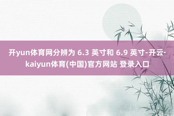 开yun体育网分辨为 6.3 英寸和 6.9 英寸-开云·kaiyun体育(中国)官方网站 登录入口