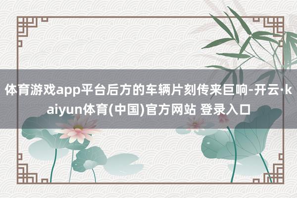 体育游戏app平台后方的车辆片刻传来巨响-开云·kaiyun体育(中国)官方网站 登录入口