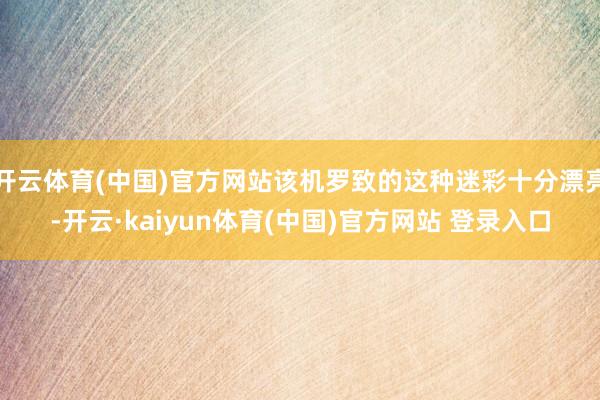 开云体育(中国)官方网站该机罗致的这种迷彩十分漂亮-开云·kaiyun体育(中国)官方网站 登录入口