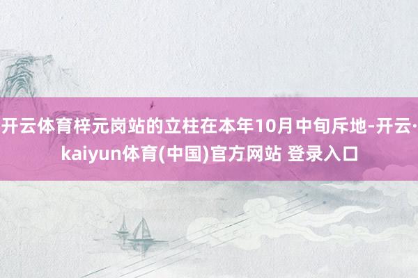 开云体育梓元岗站的立柱在本年10月中旬斥地-开云·kaiyun体育(中国)官方网站 登录入口
